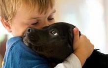 У школах Львова запровадять унікальний курс гуманної освіти