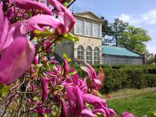 Сьогодні у Ботанічному саду ЛНУ ім. І. Франка проведуть день відкритих дверей